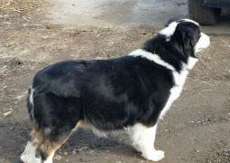 Moonbaby N' Destiny's You Wish