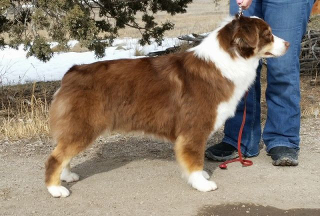 Moonbaby's All American Girl