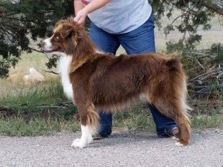 Moonbaby's Ride The Lightning