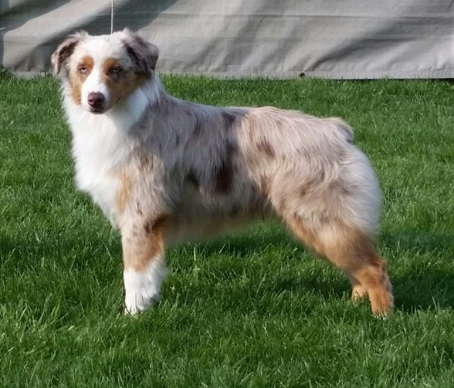 Moonbaby's When It Counts