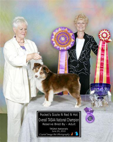 Pockets Sizzle N Red N Hot