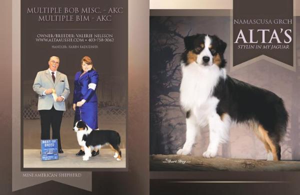 Alta's Stylin In My Jaguar